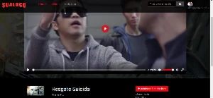 Site De Filmes E Series Venda De Planos Estilo Netlix - Outros