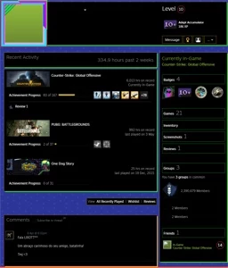 CONTA CS GO PRIME - LVL 10 GC - 6,013 HORAS DE CS - Counter Strike