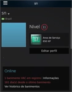 CONTA STEAM COM 17 ANOS - Counter Strike CS