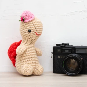 Tartaruga com Casco Colorido e Chapéu Rosa - Artesanato e Personalizados