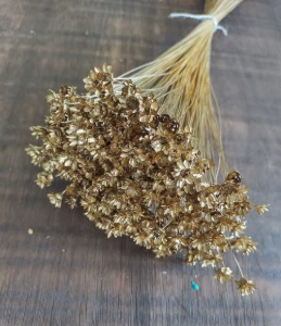 Flores Secas - Sempre Viva (maço com 200 florzinhas) - Artesanato e Personalizados