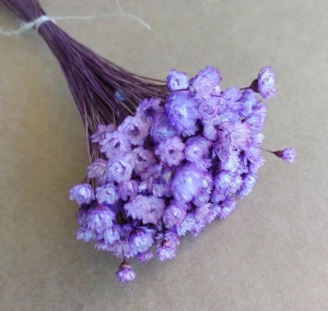 Flores Secas - Sempre Viva (maço com 200 florzinhas) - Artesanato e Personalizados