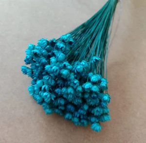 Flores Secas - Sempre Viva (maço com 200 florzinhas) - Artesanato e Personalizados