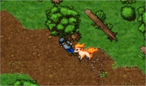 cuido de seu pokémon - PokeXGames PXG