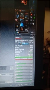 MS (Nefera) 142 ML 67 COM EQUIPS - Tibia