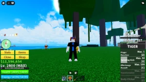 Conta Com Leopardo - Roblox