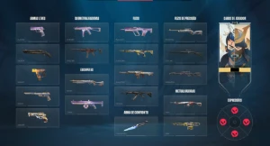 Conta De Valorant E LoL | 271 Skins No Lol | Lv 642 | FA