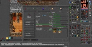Char tibia paladin lvl 123 com rk
