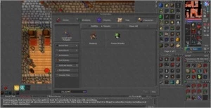 Char tibia paladin lvl 123 com rk
