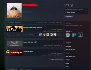 Conta steam csgo + rust e skins - Counter Strike