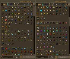 Vitrine 1151✅ - Runescape RS