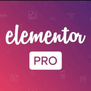 Elementor Pro 3.16.5 WordPress Plugin - Outros