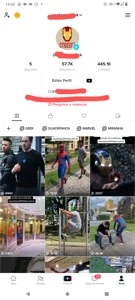 CONTA TIK TOK A VENDA - Redes Sociais
