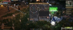 2 carracas,2 cavalos lendários,14bi no mercado,Pots HP e MP - Black Desert