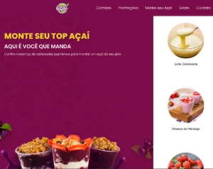 Script Delivery Açaí Site - Outros