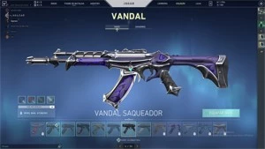 CONTA VALORANT DIVERSAS SKINS