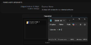 plaguecheat.cc cs2 lifetime - Counter Strike