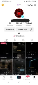 Conta Tiktok 35K Monetizada E Bem Engajada - Outros