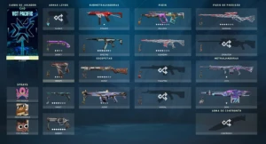 conta rara de valorant com os 3 kit completos da champions 