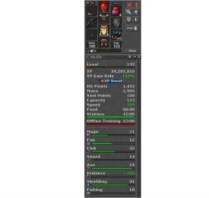 Royal paladin 135 Talera - Tibia