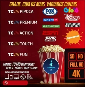 TUDO LIBERADO PARA SUA TV - Outros