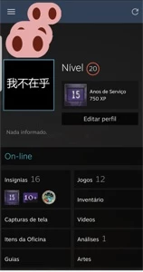 Conta steam 15 anos levem 20 steam - Counter Strike CS