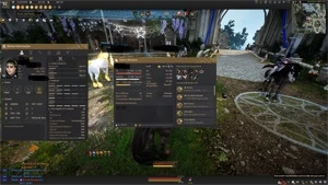 Conta de Black Desert com Bússola, Pot de HP, T9 Doom 634GS