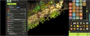 CONTA BRUTAS, NÃO CERTIFICADA. - Dofus