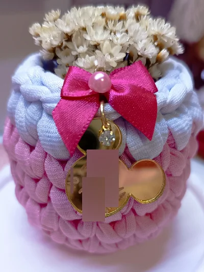 Mini Cachepô de Crochê - Artesanato e Personalizados
