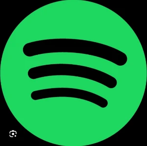 Spotify Premium - 1 ano - Assinaturas e Premium