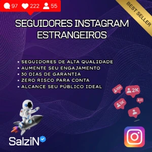 SEGUIDORES INSTAGRAM - O MELHOR