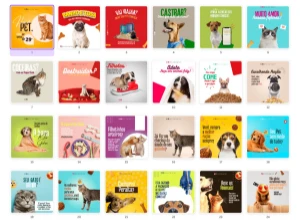 Pack Canva Veterinária Vol 4 - 39 Artes Editáveis - Serviços Digitais