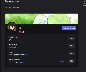 Conta Discord Nitro Trimensal + Telefone Vinculado - Redes Sociais