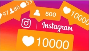 1000 Seguidores Instagram - Outros