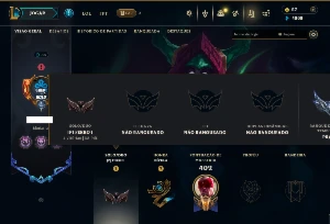 Ferro 1 com 150 Champs e 150 Skins ( ADC / MID / TOP ) - League of Legends LOL
