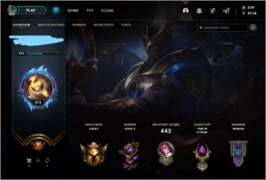 Conta League of Legends 376 Skins LOL
