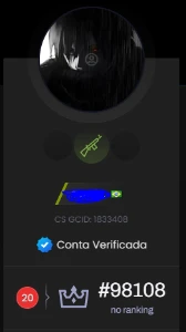 Conta Steam Lvl 30 - Faceit Lvl 10 - Elo 2600 - Lvl 20 Gc - Counter Strike CS