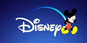 Disney - Tela Privada Só Sua Por 30 Dias - Premium