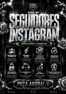 SEGUIDORES INSTAGRAM / SEGUIDORES BRASILEIROS - Outros