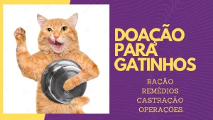 Doe Amor: Ajude a Transformar a Vida de Gatinhos Necessitado - Doações