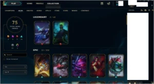 Venda conta de League of Legends lv 31 (Unranked) (75 skins) LOL