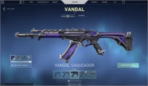 Conta valorant com varias skins !!