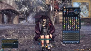 Warlock level 51 HM4 561 atk Force Master level 45 348 atk - Blade and Soul BaS