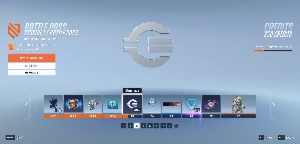 (Pc) Conta Overwatch, Shop/Collab Skins + 2220 Coins (Cash) - Blizzard