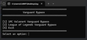 No BAN Valorant/League Of Legends  Bypass Private 100% - Outros