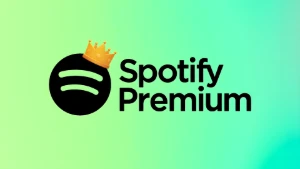 Spotify premium - Assinaturas e Premium