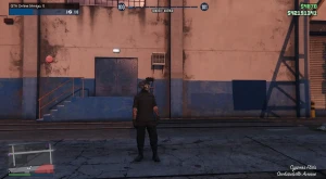 Pacotes De Dinheiro Gta V Online | Epic Enhanced