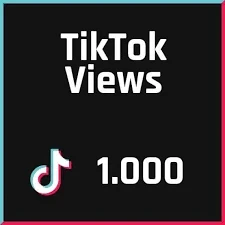 1000 visualizações do TikTok - Outros