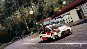 WRC 9: FIA World Rally Championship - Games (Digital media)