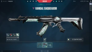 Conta Valorant Unranked (Skin Saqueadora Faca e Vandal)